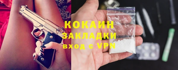 шишки Алексин