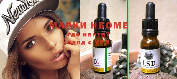 шишки Алексин