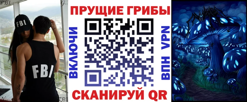 где купить наркотик  Родники  Псилоцибиновые грибы GOLDEN TEACHER 